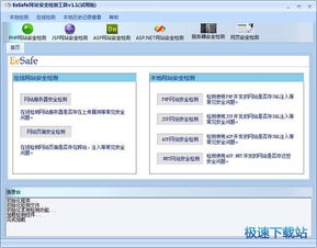 下图这个是什么网页安全测试软件？