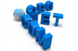 什么叫海外域名？