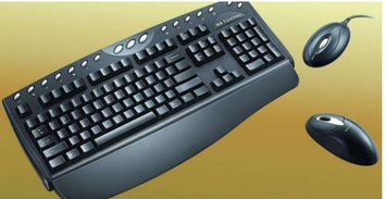 电脑鼠标键盘没反应什么原因？