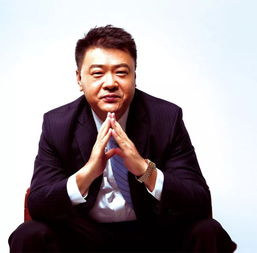 徐茂栋创始的星河集团是做什么的？