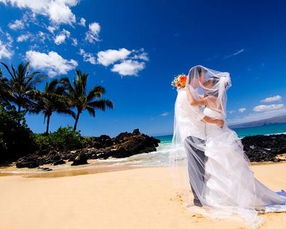 蜜月期,挫折期,调整期,适应期,蜜月期糖尿病会好吗