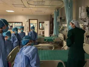 高级急救225到300怎么学,高级急救150-225