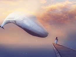 相片合成软件叫什么