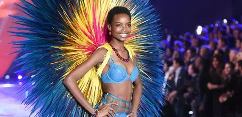 “维密模特”维密啥意思？