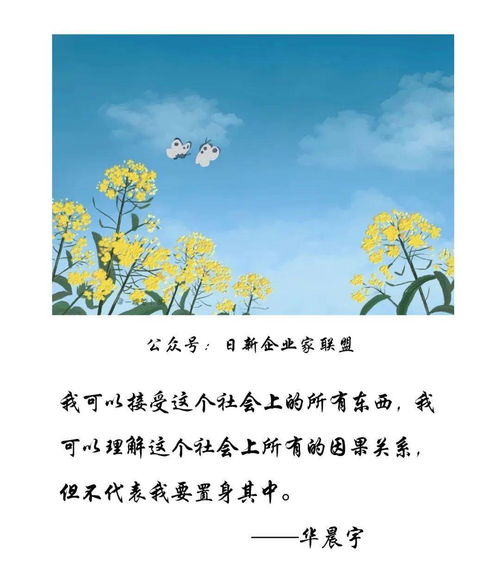 “一句随风而去”是什么意思？
