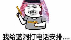 仓鼠王LOL战绩怎么样