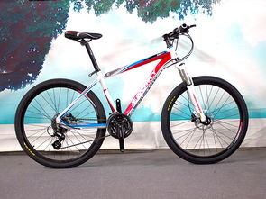 品牌山地自行车排名价格,山地自行车十大品牌