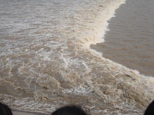 潮水 海上明月共潮生,潮水 英文