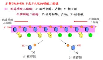那哪的用法区别