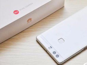 现在华为哪款手机性价比最高