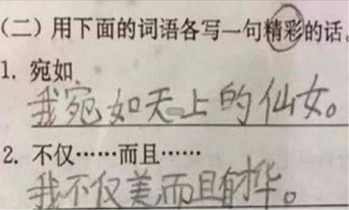 需要造句子二年级