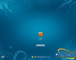 win8主题哪里下载啊