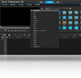 会声会影x8旗舰版，不要试用版！