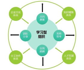 什么是学习型组织
