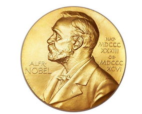 诺贝尔奖官网为什么不能访问？http://nobelprize .org/