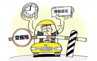 私家车必买的三种保险