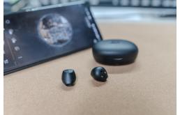 四季竹图片，四季竹子怎么养才能更旺盛