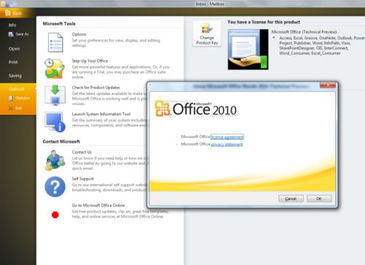 office professional plus 2010官方正版下载