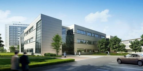 有什么好投资的小项目