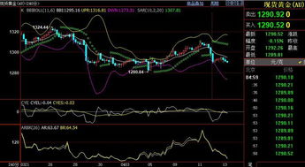 美原油连续实时走势图原油指数