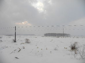 壮举的意思,壮举的英文