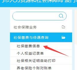 厦门社保查询个人账户缴费明细查询