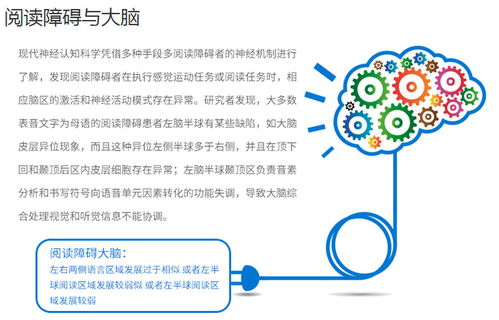 儿童语言表达能力训练,提高语言表达能力的培训