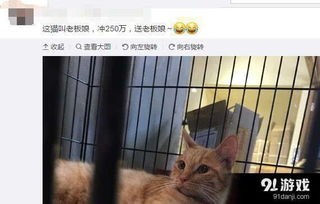 说一个人是弱鸡是什么意思？