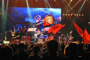 什么是迷笛音乐节，干什么的？？？