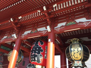 想问一下日本的和光堂奶粉怎么样啊？