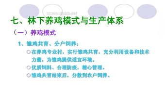 农村养什么挣钱？