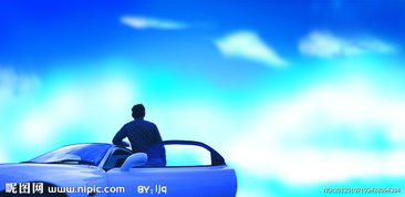 车主服务违章提醒,车主服务官方版下载