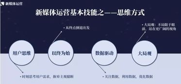 什么是媒体？有哪些分类？