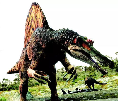 英雄联盟雷克顿猛龙皮肤和符文战神哪个好