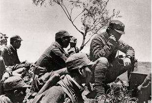 中国解放军编制等级,解放军单位编制