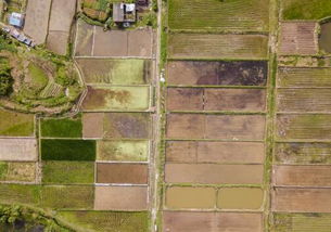 公顷换算平方米,亩换算平方米公式