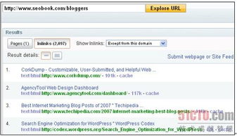 做了一批英文站群，外链需要怎么做？