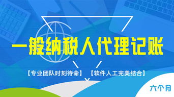金米财税能搭建企业官网吗？有人做过吗？