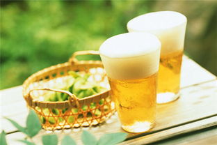 喝啤酒的好处和坏处