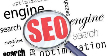 seo优化网谈什么是真正SEO专家