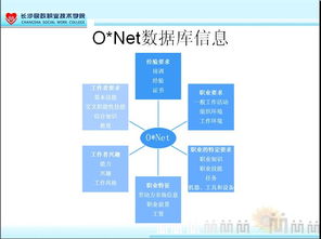 网络资源共享,网络资源有哪些
