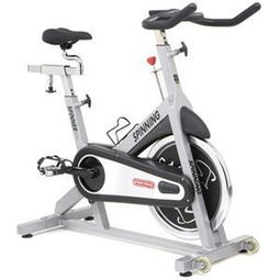 动感单车什么品牌的好？