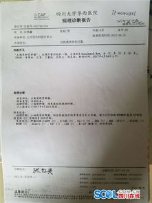 魔兽世界任务诊断报告在哪?