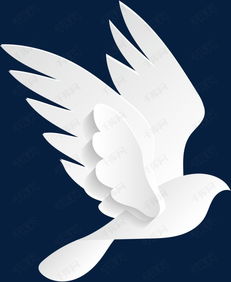 羽翼丰满是什么意思