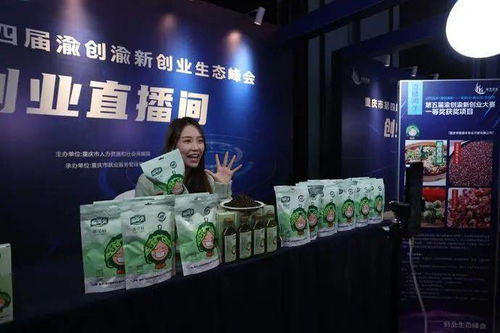 新型中小投资创业项目有哪些?