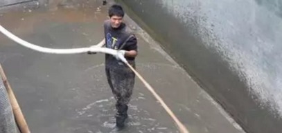 二次污染的毒性