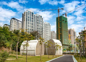 万科属于国企还是私企？