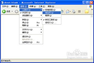 地址地址栏在哪里