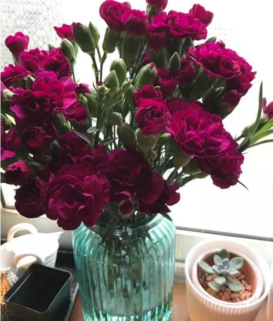 康乃馨要醒花多久