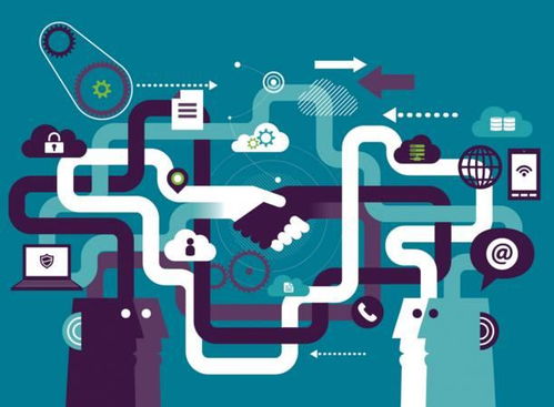 什么是网络中立